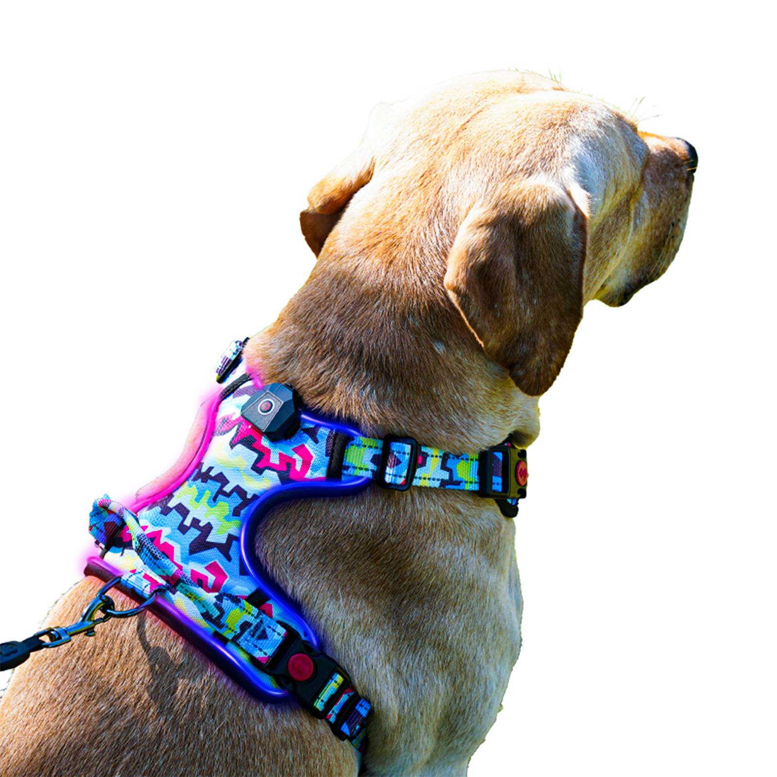 LED Light Effects in Holo Paws Reflective Dog Harness
