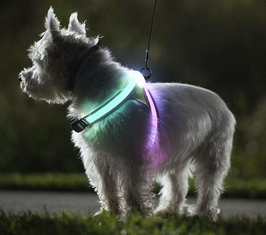 LED Dog Harness Supplier: How Stable Lighting Systems Improve Visibility and Reduce Failure at Scale