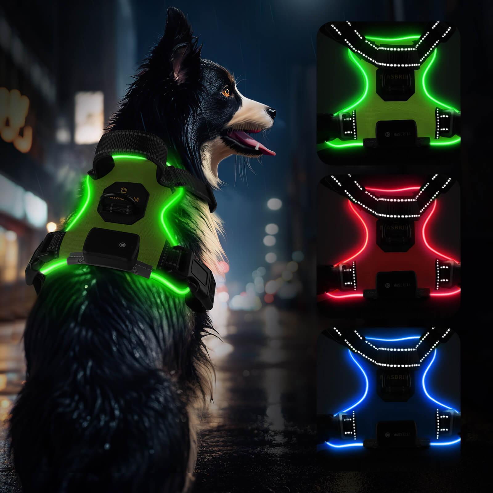 LED Dog Harness Private Label: How Brands Build Differentiated Night-Safety Product Lines