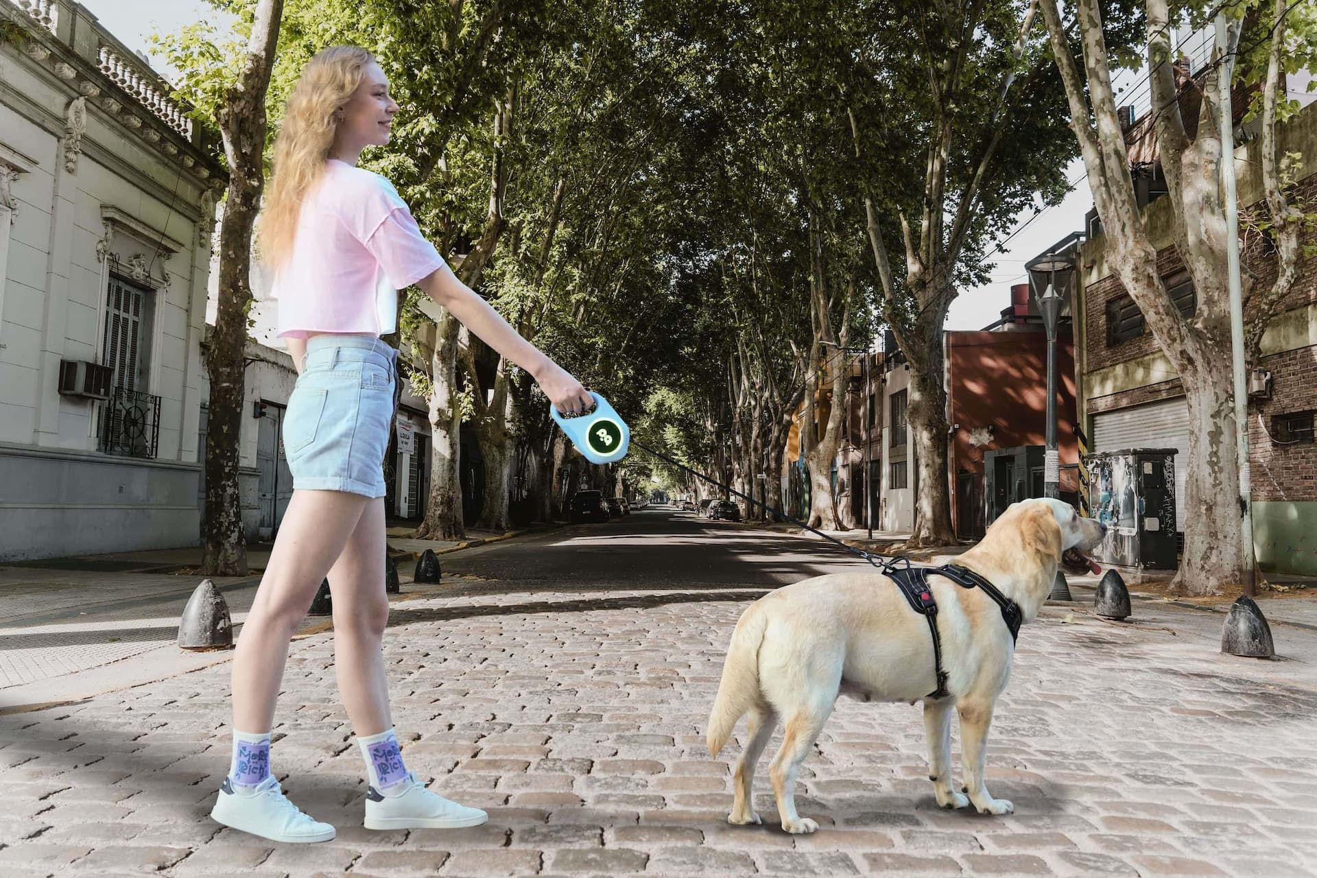 Wholesale Dog Harness Manufacturer | QQPETS