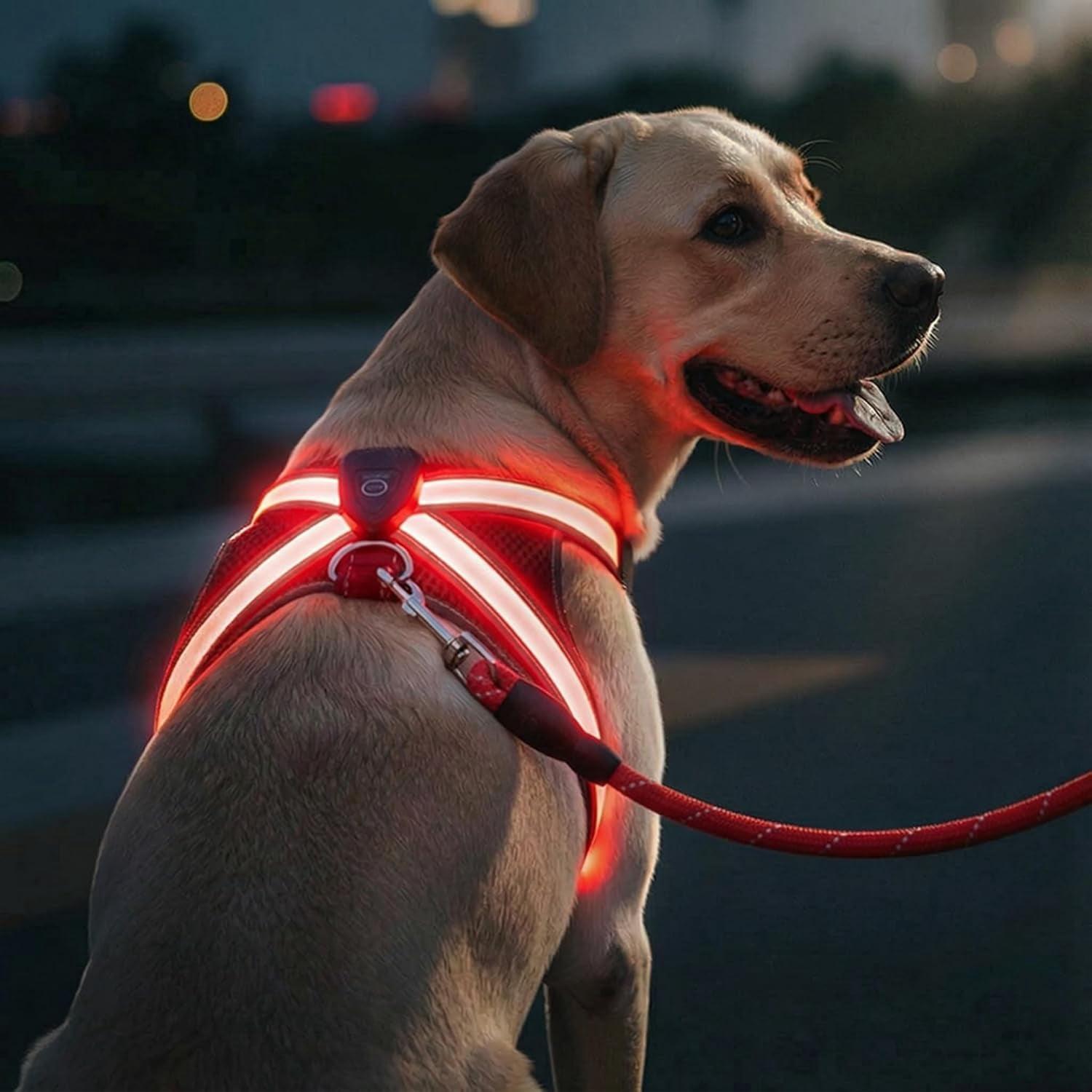 Luminous Dog Harness Manufacturer: How Integrated Illumination Improves Night Safety and Product Reliability