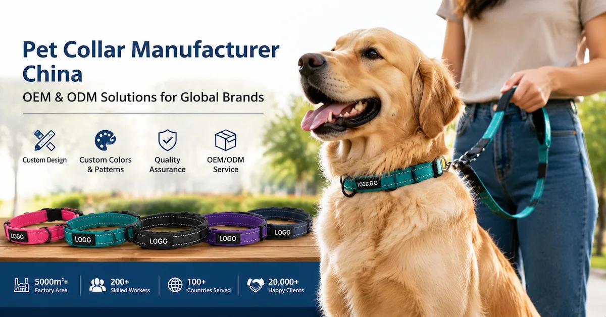 Pet Collar Manufacturer China Guide: How Global Brands Choose Reliable OEM Suppliers